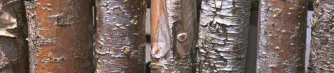 WPUF Gesucht/Gefunden